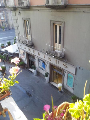 Edoardo al Plebiscito Napoli